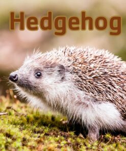 Hedgehog (E-bog)
