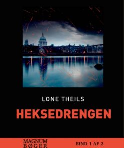 Heksedrengen (storskrift) (Bog)