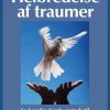 Helbredelse af traumer (E-bog)