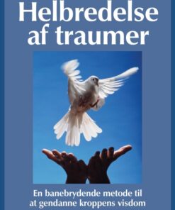 Helbredelse af traumer (E-bog)