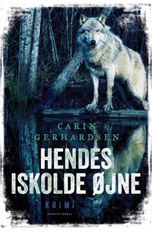 Hendes iskolde øjne (E-bog)