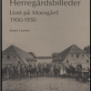 Herregårdsbilleder (Bog)