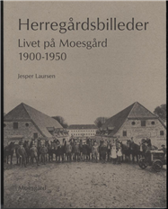 Herregårdsbilleder (Bog)