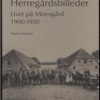 Herregårdsbilleder - Jesper Laursen - Bog