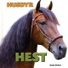 Hest (E-bog)