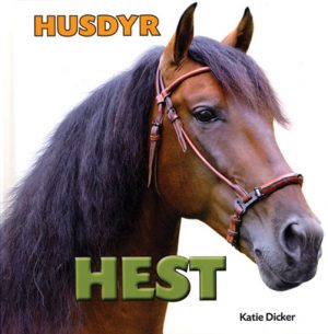 Hest (E-bog)