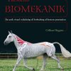 Hestens Biomekanik - Gillian Higgins - Bog