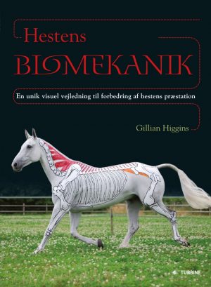 Hestens Biomekanik - Gillian Higgins - Bog