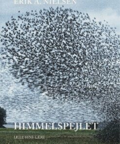 Himmelspejlet - Erik A. Nielsen - Bog