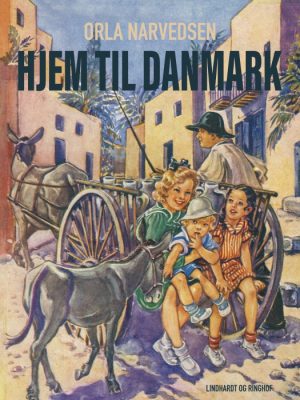 Hjem til Danmark (E-bog)