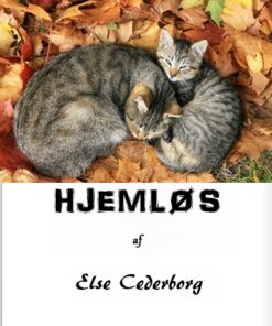 Hjemløs (E-bog)