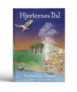 Hjerternes Dal - Gitte Winter Graugaard - Bog
