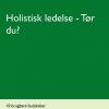 Holistisk Ledelse - Tør Du? - Rikke Strange - Bog