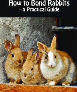 How to Bond Rabbits - a Practical Guide (Bog)