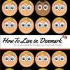 How to Live in Denmark (Bog)