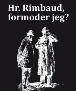 Hr. Rimbaud, Formoder Jeg? - Mikkel Jensen - Bog