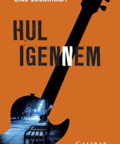 Hul igennem (Bog)