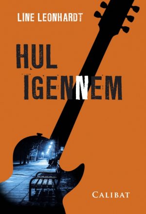 Hul igennem (Bog)