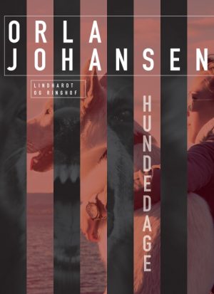 Hundedage (E-bog)