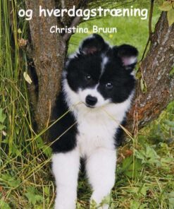 Hundeliv og hverdagstræning (Bog)