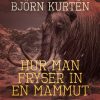 Hur man fryser in en mammut (E-bog)