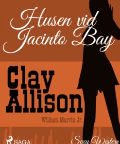 Husen vid Jacinto Bay (E-bog)