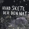 Hvad Skete Der Den Nat? - Thomas Aagaard Skovmand - Bog