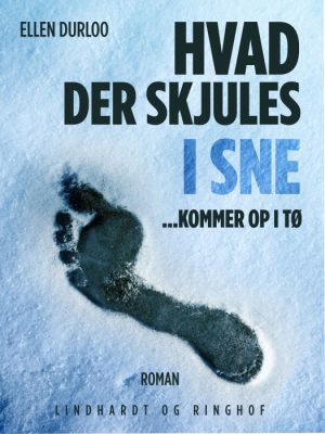 Hvad der skjules i sne (Bog)