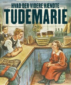 Hvad der videre hændte Tudemarie (E-bog)