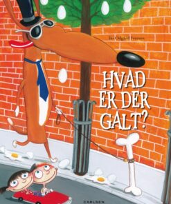 Hvad er der galt? (E-bog)