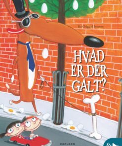 Hvad er der galt? (E-bog)