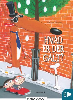 Hvad er der galt? (E-bog)