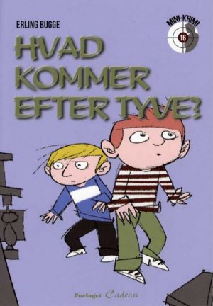 Hvad kommer efter tyve? (Bog)