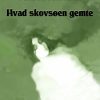 Hvad skovsøen gemte (E-bog)