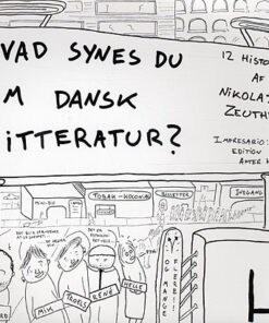 Hvad synes du om dansk litteratur? (Bog)