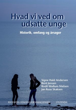 Hvad vi ved om udsatte unge (Bog)