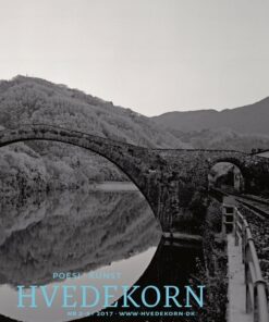 Hvedekorn 2+3 2017 - Lars Bukdahl - Bog