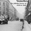 Hverdagsliv på Vesterbro - fra folkeligt kvarter til moderne bydel (E-bog)