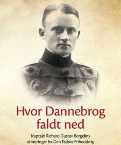 Hvor Dannebrog faldt ned (Bog)