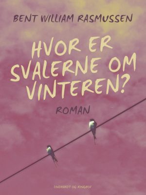 Hvor Er Svalerne Om Vinteren? - Anne Strandvad - Bog