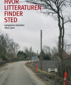 Hvor litteraturen finder sted - bind 2 (E-bog)