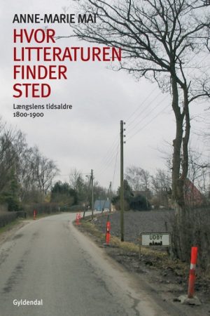 Hvor litteraturen finder sted - bind 2 (E-bog)