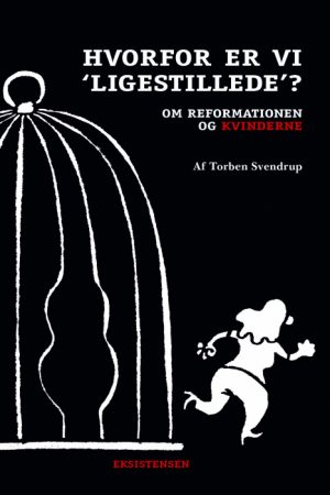 Hvorfor er vi "ligestillede"? (E-bog)