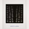 Hybrid - Ninette Larsen - Bog