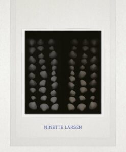 Hybrid - Ninette Larsen - Bog