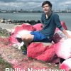 Hyldest Til Aarhus - Philip Nordstrøm - Bog