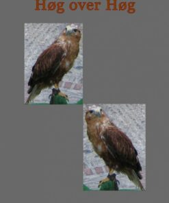 Høg Over Høg - Charlotte Dinge - Bog