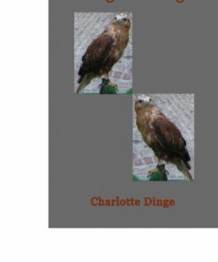 Høg Over Høg - Charlotte Dinge - Bog