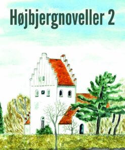 Højbjergnoveller 2 - Ingrid Falktoft Andersen - Bog