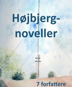 Højbjergnoveller - Ingrid Falktoft Andersen - Bog